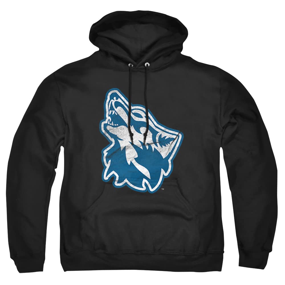 LOGOVISION Official Collegiate Distressed Primary Logo Adult Pullover Hoodie Collection — view 444