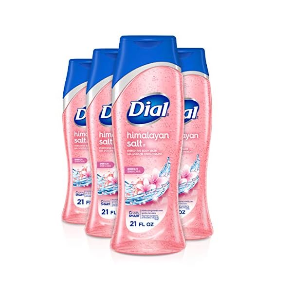 Dial Skin Therapy Body Wash, Himalayan Salt, 21 fl oz (Pack of 4)