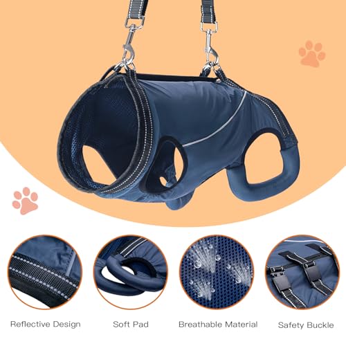Dog Lift Harness for Senior & Injured Dogs – Full Body Mobility Support Sling, Adjustable Aid for Walking, Arthritis & Joint Pain, Help on Stairs (Small) - Image 3