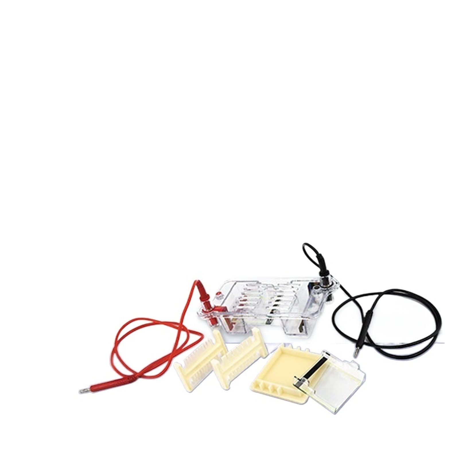 Elektrophorese Geraet, DYCP-31BN Agarose Horizontaler Elektrophorese-Instrument Labor Biomolekularer Test-Elektrophorese-Tank