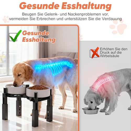 X XBEN Erhöhter Hundenapfständer mit 4 Einstellbarer Höhe und Breite, erhöhter Hundenapf für Wasser- und Futternapf, für Mittlere Große Hunde, stabil und rutschfest [nur Ständer]