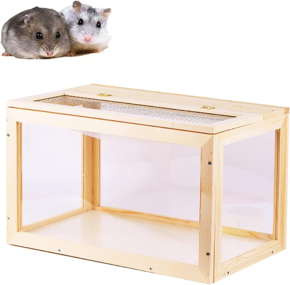 bringing hamster home