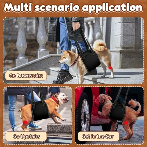 OHCOZZY Hundetragegurt mit Griff, verstellbares Hundegeschirr für die Rehabilitation, weiche Hunde tragehilfe für ältere, verletzte, behinderte Hunde,S,Schwarz