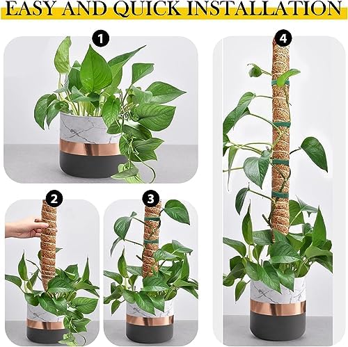 Monstera pręt do roślin pnących, 2 sztuki, 120 cm, do roślin pnących, nazwa rośliny, czas sadzenia, wsparcie dla roślin, 2 sztuki