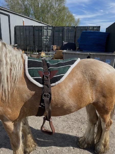 Horse Master New Bareback Pad with Free Girth and Stirrups for Horse, Non Slip Sale, Made from Anti Slip Micro Suede, Available in Three Color Comfortable Tack Equipment, Safe (Deep Green) — image 1