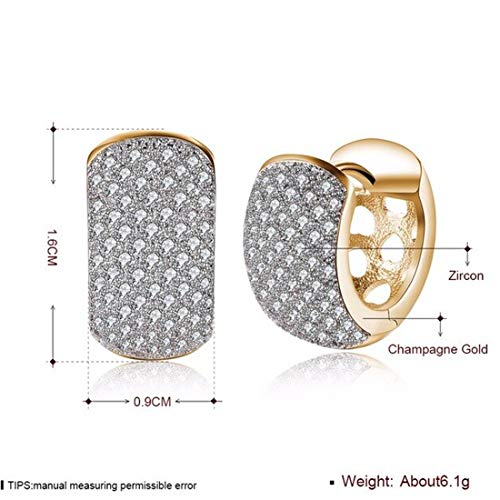 Zircon Plated Drop Earrings (CT-ERG-45109)