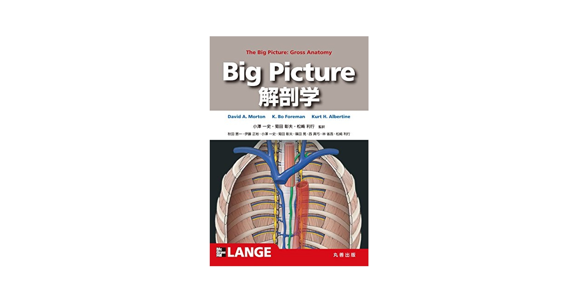 新版 岡嶋解剖学 岡嶋解剖学 |本 | 通販 | Amazon