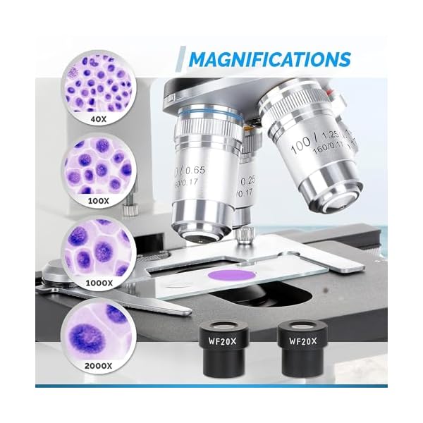 AmScope-OMAX-40X-2000X-Lab-LED-Binocular-Compound-Microscope-with-Double-Layer-Mechanical-Stage-and-Coaxial-CoarseFine-Focusing-Knob AmScope-OMAX-40X-2000X-Lab-LED-Binocular-Compound-Microscope-with-Double-Layer-Mechanical-Stage-and-Coaxial-CoarseFine-Focusing-Knob