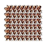 Stickers 48pcs Diddy Bumper and Hard Laptop Wall Decoration Donkey Hat Kong Bike Motorcycle Water Bottles Bedroom Car for Kids Teens Adults Phone Case Skateboard