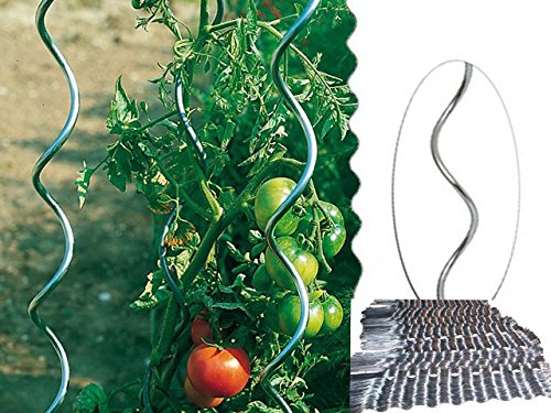 Tomaten-Spiralstab, Tomatenstab, 5-er Set