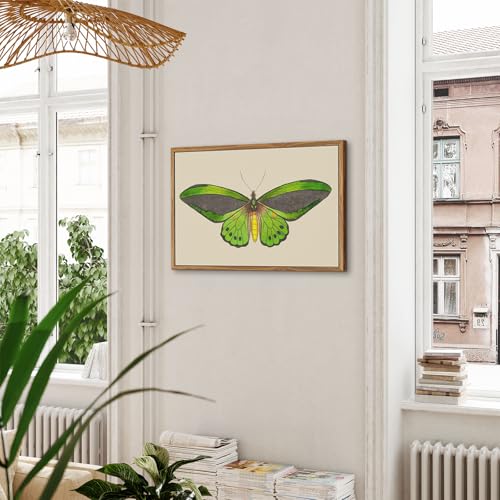 crmotu Vintage Framed Wall Art, Green Butterfly Rustic Wall Decorations, Nature Insect Pictures Canvas Prints, Retro Moth Paintings Wall Decor Living Room Bedroom, Farmhouse Bathroom Decor, 16x24 inch