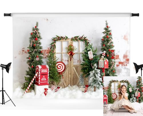 Toiles de fond pour photographie de Noël et séances photo de famille en hiver