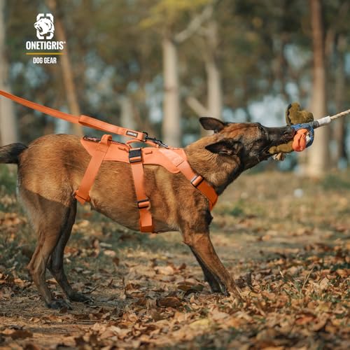 OneTigris Hundegeschirr, T-Bone Taktisches Geschirr mit 2 Griff Ausbruchsicher Einstellbar Brustgeschirr für Hunde Jagd Wandern Trainierung Spaziergang Outdoor-Aktivitäten (Orange, M)