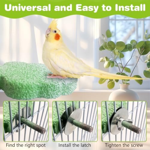 Image of PINVNBY 3PCS Bird Beak Grinding Stone Resin Bird Perch Stand Grinding Claw Birds Cage Perch Parrot Climbing Chewing Toys Parakeet Cage Accessories for Budgies Cockatiels Conures (Green)