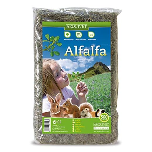 ARQUIVET Alfalfa para roedores 500 gr - Comida para Conejos, cobayas, Hamsters, Chinchillas - Alimentación Natural - Forraje para pequeños mamiferos - Alimento nutritivo Rico en vitaminas y minerales