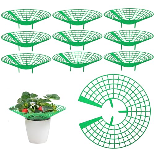 UQTUKO Erdbeerstützen Ständer, 10 Stück Erdbeerreifer...