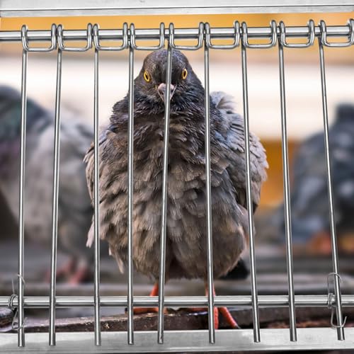 Porte de course pour pigeons pour faciliter l'accès aux volières - 8