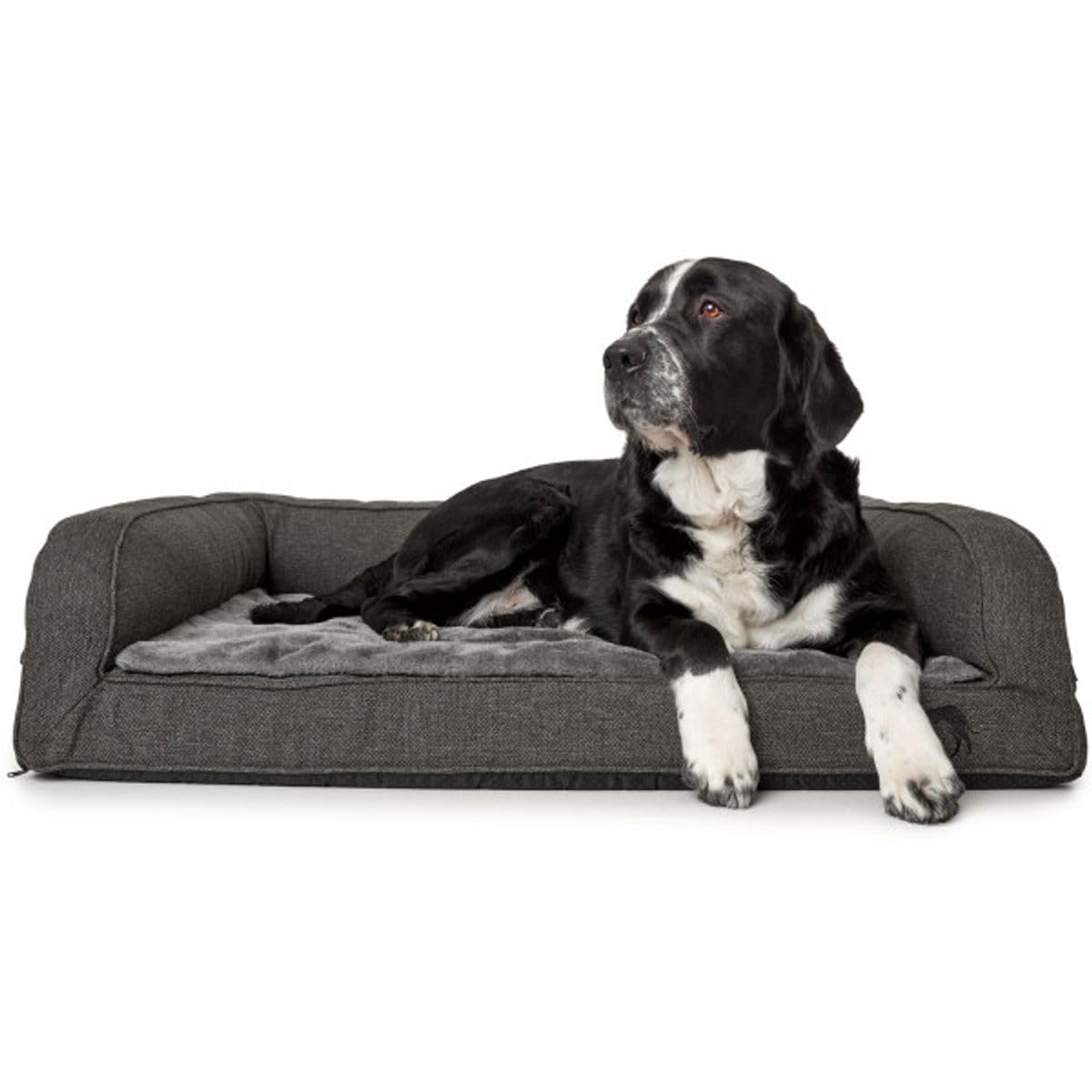 HUNTER Sofá ortopédico Livingston Antracita para Perros, 100 x 80 cm, Grande
