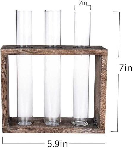 Miniatura 9 de Estación de propagación de plantador de tubo de ensayo de vidrio colgante de pared con soporte de madera, soporte de terrario para plantas