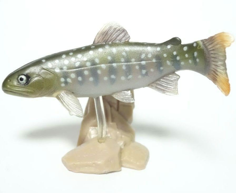 Amazon.co.jp: Yujin 原色淡水魚図鑑 Ⅰ 「ニッコウイワナ 未開封品