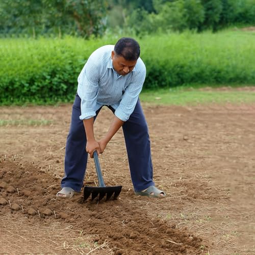Image of A to Z Hub GT Weeder Remover with Unbrackble Handle,Grass Remover,Lawn Remover,Hedge Cutter,Farm Lawn Remover,Garden Grass Cutter,Lawn Cutter Tool Garden Teeth Rake, Khapali,RAKE,Spade,Tiller,