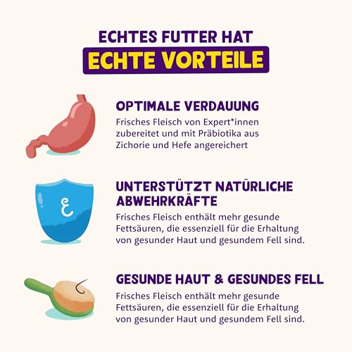 Edgard & Cooper Nassfutter für Hunde (Lachs & Truthahn, 400g x 6), Getreidefrei, natürliche Zutaten und frisches Fleisch, voller essentieller Aminosäuren