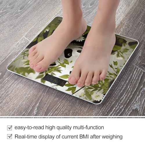 Báscula Digital de Baño con Vidrio Templado y Display LCD Claro miniatura 5