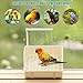 Bird Bath and Absorbent Pad Set, Automatic Bird Shower Fountain Indoor Bathtub with Baffle USB Electric Large Parrot Bathtub Circulating Water for Pet Birds, African Grey, Cockatiel, Budgie, Lovebird