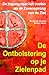 Produktbild De ontbolstering op je zielenpad: De ingang naar het voelen en de Zevensprong van de Ziel