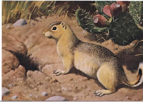 Toile murale Chipmunk de l'Est art abstrait pour décoration salon 60x90cm