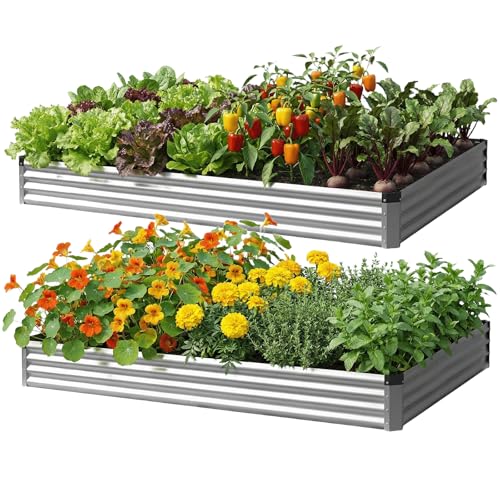 Reachible 2Packs 8x4x1 FT Raised Garden Beds Outdoor, Planter Raised Beds for Gardening, Vegetables, Flowers, Metal Garden Box, Deep Plant Flower pots Outdoor (Silver)