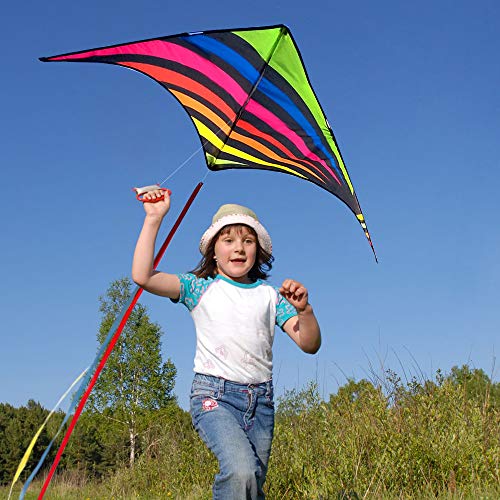 Mint's Colorful Life Rainbow Delta Drachen für Kinder Erwachsene & anfänger – Ansicht 3