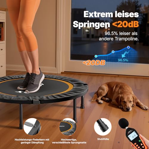MERACH Mini Trampoline - 102 cm/122 cm Fitness Trampoline Opvouwbaar, Maximale Belasting 150 KG, Trampoline voor Bewegingstraining Geruisloos - Afbeelding 3