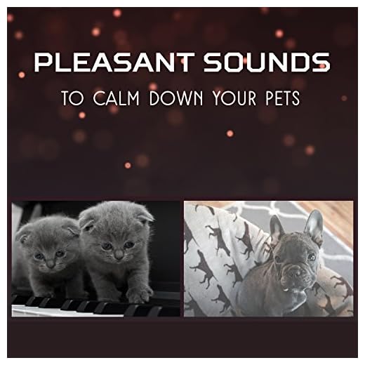 Pleasant Sounds to Calm Down Your Pets – Deep Sleep for Dogs and Cats, Complete Serenity, Pet Relaxation, Take Care for Your Animal Companion