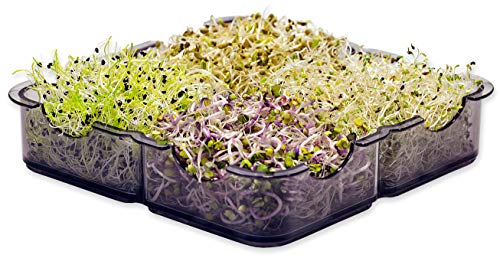 GermoglioSì Manueller Samenkeimer + 4 Packungen Mix Saatgut (32 g), professionell, multifunktional, patentiert, mit 5 Schalen aus Kunststoff, 100% recycelbar, mit MOCA-Zertifizierung.