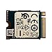 KIOXIA SSD 256 GB M.2 2230 30mm NVMe PCIe 4.0 Gen 4 x 4 BG5 (OEM)