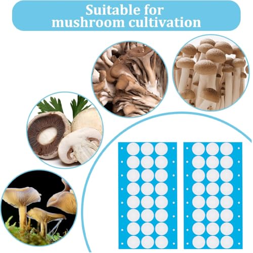 Image of GORGECRAFT 144Pcs 6 Sheet Synthetic Filter Sticker Disc 20mm Adhesive Monotub Filter Discs 0.3μm Wide Mouth Mason Jar Filters Patch Tape for Mushroom Growing Supplies Filter Pad Replacements