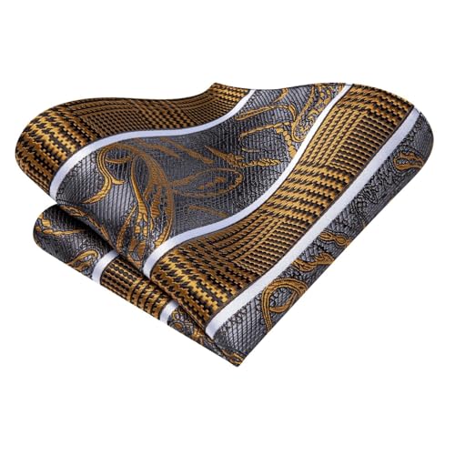 Image of Hi-Tie Mens Paisley Floral Striped Ties Set Silk Necktie and Lapel Pin for Men Pocket Square Cufflinks Set Business Wedding
