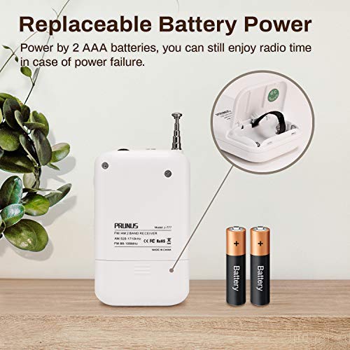 The 30 Best PRUNUS Portable Radios of 2024 [Verified] Cherry Picks