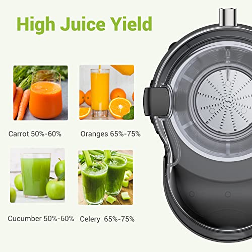 Easehold Upgraded Juicer Machine, Centrifugal Juice Extractor For Vegetable And Fruit, Anti-Drip, Easy To Clean, Bpa-Free With Juice Jug And Pulp Container, 1000W #TOP5