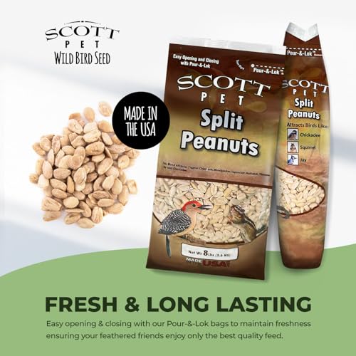 Scott Pet Wild Bird Seed, Peanuts Split (No Shell), 8 lbs Bag, No Mess, High Quality Feed, Great Source of Protein and Fiber, Peanuts for Outside Wild Birds - Thumbnail 4