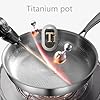 Evolkult Titanium Hammered Pan With Lid, Non Stick No Coating titanium skillet, Ultra-Durable, Scratch-Resistant, Even Heating for Cooking Pan, all Cooktops,With lid,10.2 in #2