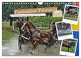PERFEKTES GESCHENK - Kalender für Freunde und Familie, für Kinder und Erwachsene, jung und alt, zu Weihnachten, Geburtstag oder zwischendurch.