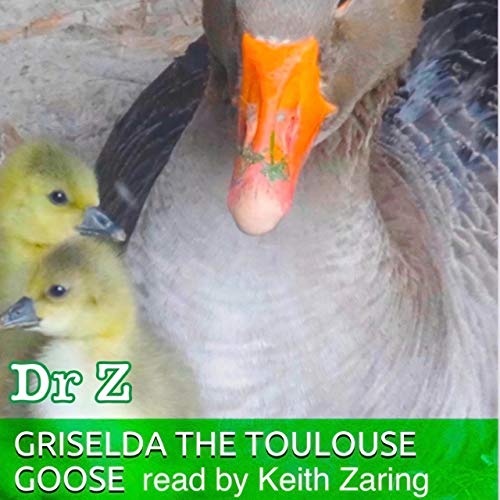 Griselda the Toulouse Goose from North Bradbury Farm by Dr. Jael Zebulun episode artwork