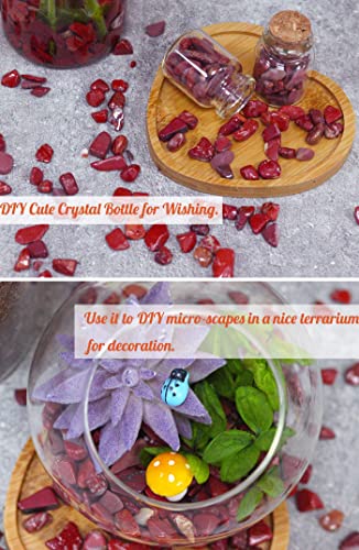 Image of Red Jasper Aquarium Gravel Rocks Natural Tumbled Healing Crystal Chips Bulk Gemstones Tumbled Crushed Stones for Fountain Vase Filler Planters Decorative Fish Tank Potted Reiki Energy Balancing 0.44lb