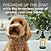 TropiClean Essentials Jojoba Oil Shampoo for Dogs | Condition The Coat | Balance Skin Oil Production | Derived from Natural Ingredients