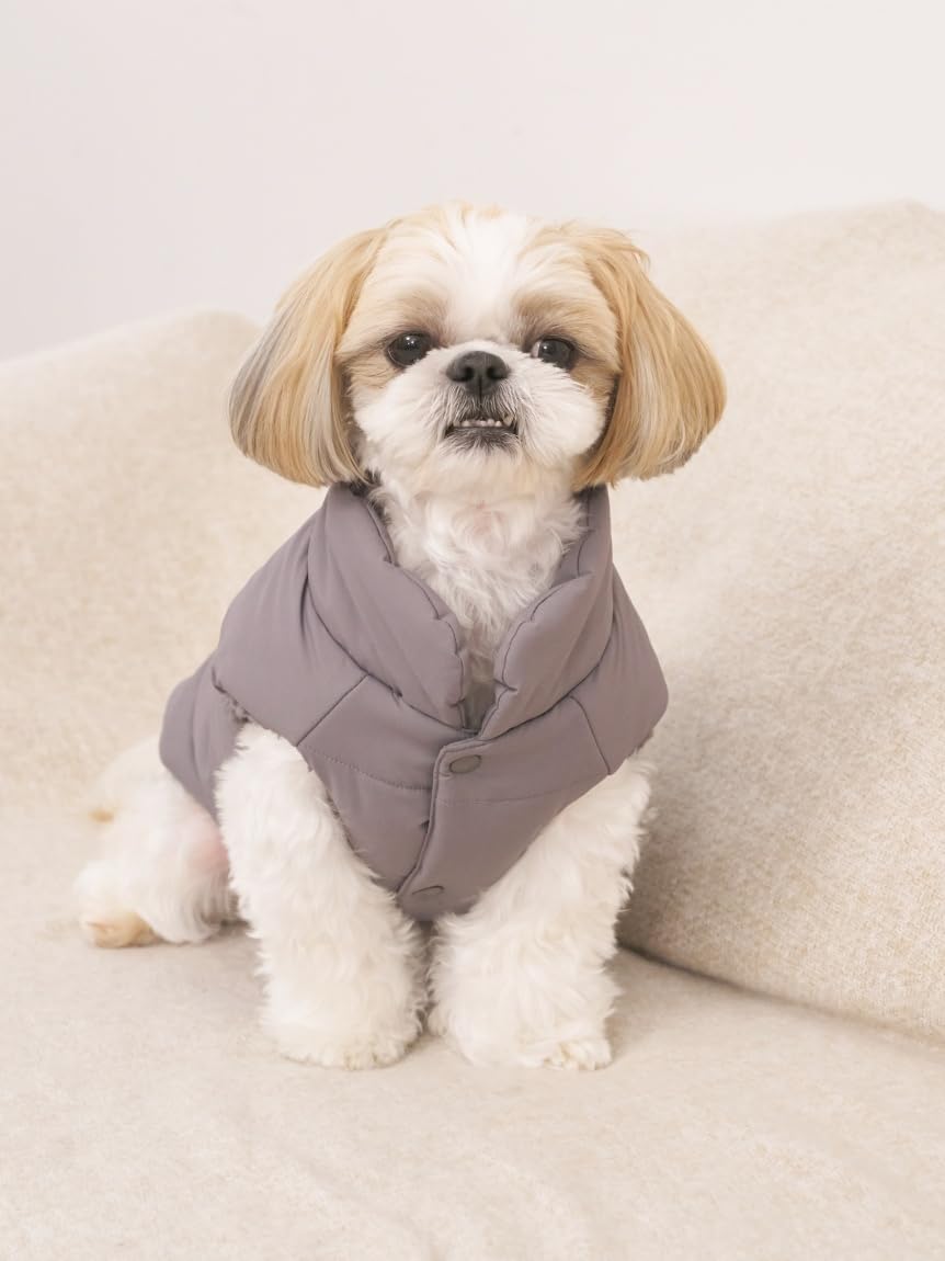 Amazon.co.jp: gelato pique ジェラートピケ: WEAR