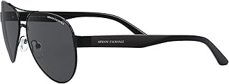 Armani Exchange mens Ax2034s Aviator Sunglasses