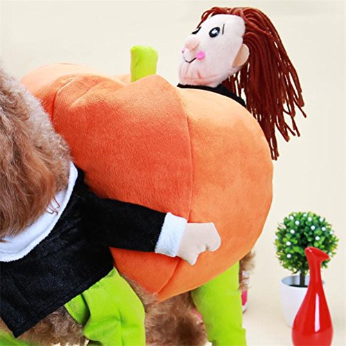 Disfraz de Calabaza para Perro Talla S Halloween miniatura 4