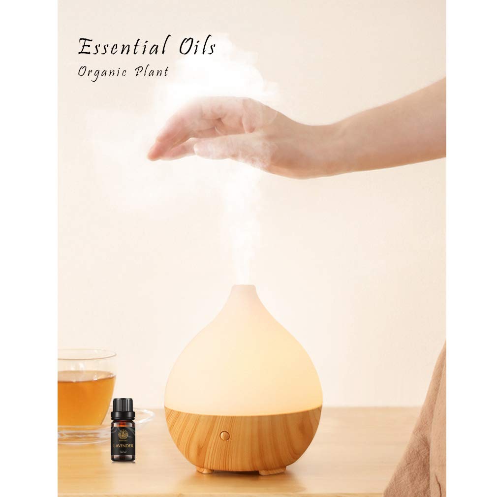 Aromatherapie Zimt ätherisches Öl Set für Diffusor, 100% reine Teebaum ätherisches Öl Kit für Hause, 10x10ml Ingwer ätherische Öle Set-Clary Salbei,Zypresse,Zitrone,Thymian Öle...